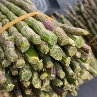 鲜石斛新鲜霍山铁皮石斛500克