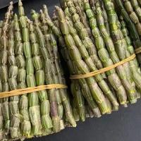 鲜石斛新鲜霍山铁皮石斛500克