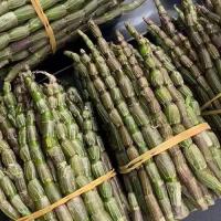 鲜石斛新鲜霍山铁皮石斛500克