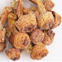精选姬松茸云南精选松茸250克