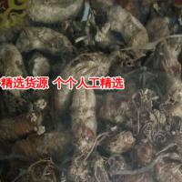 金蝉花野生知了猴知了花金蚕花