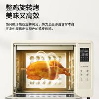 多功能电子温控烤箱 进口松下DT300智能电烤箱 家用小型烘焙机