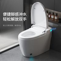 全自动智能马桶 日本进口马桶 家用智能坐便桶