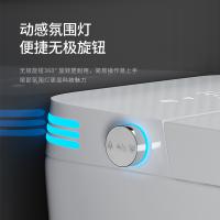 全自动智能马桶 日本进口马桶 家用智能坐便桶