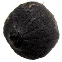 金乡黑蒜无糖黑大蒜头独头黑蒜