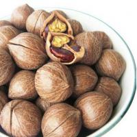 坚果临安山核桃果野生山核桃干