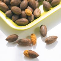 香榧子诸暨香榧子果坚果香榧子