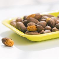 香榧子诸暨香榧子果坚果香榧子