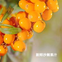 沙棘果俄罗斯进口沙棘果汁原浆